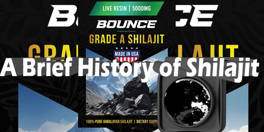 Shilajit History Origins Where It Came From First Records Science Dates