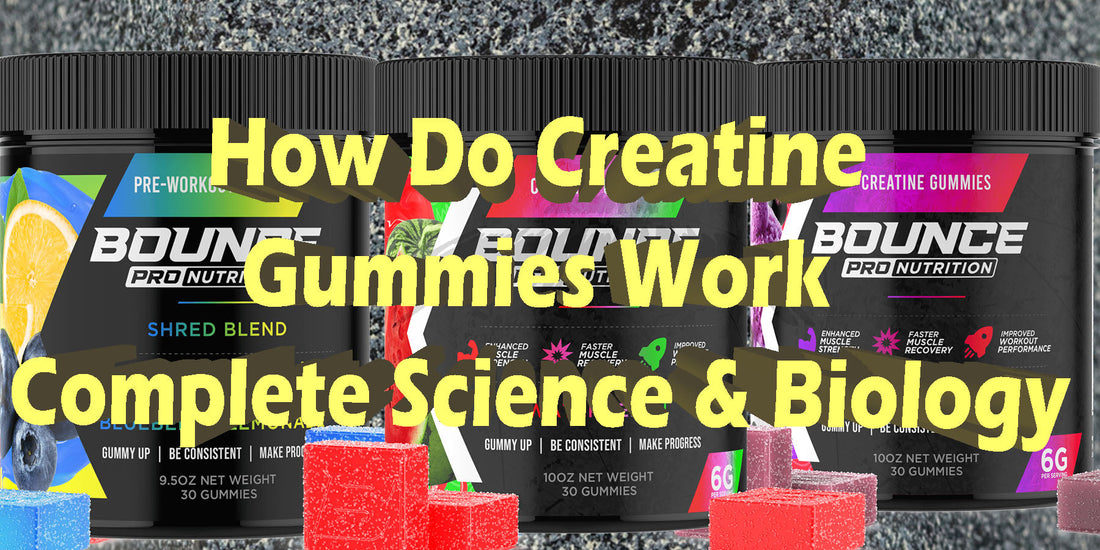 How Do Creatine Gummies Work For Muscle Growth