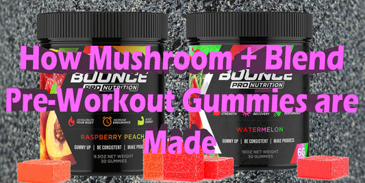 How Mushroom Pre-Workout Gummies are Made